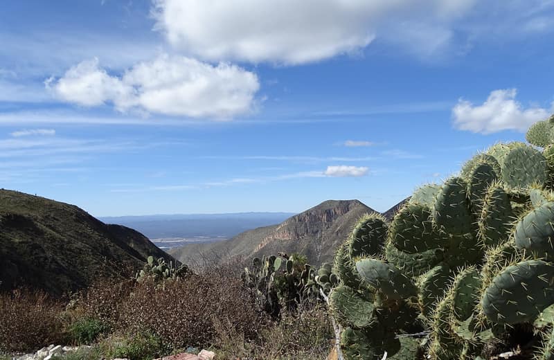 Wirikuta, San Luis Potosí