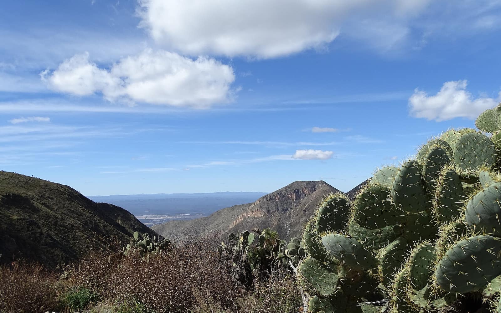 Wirikuta, San Luis Potosí, Mexico